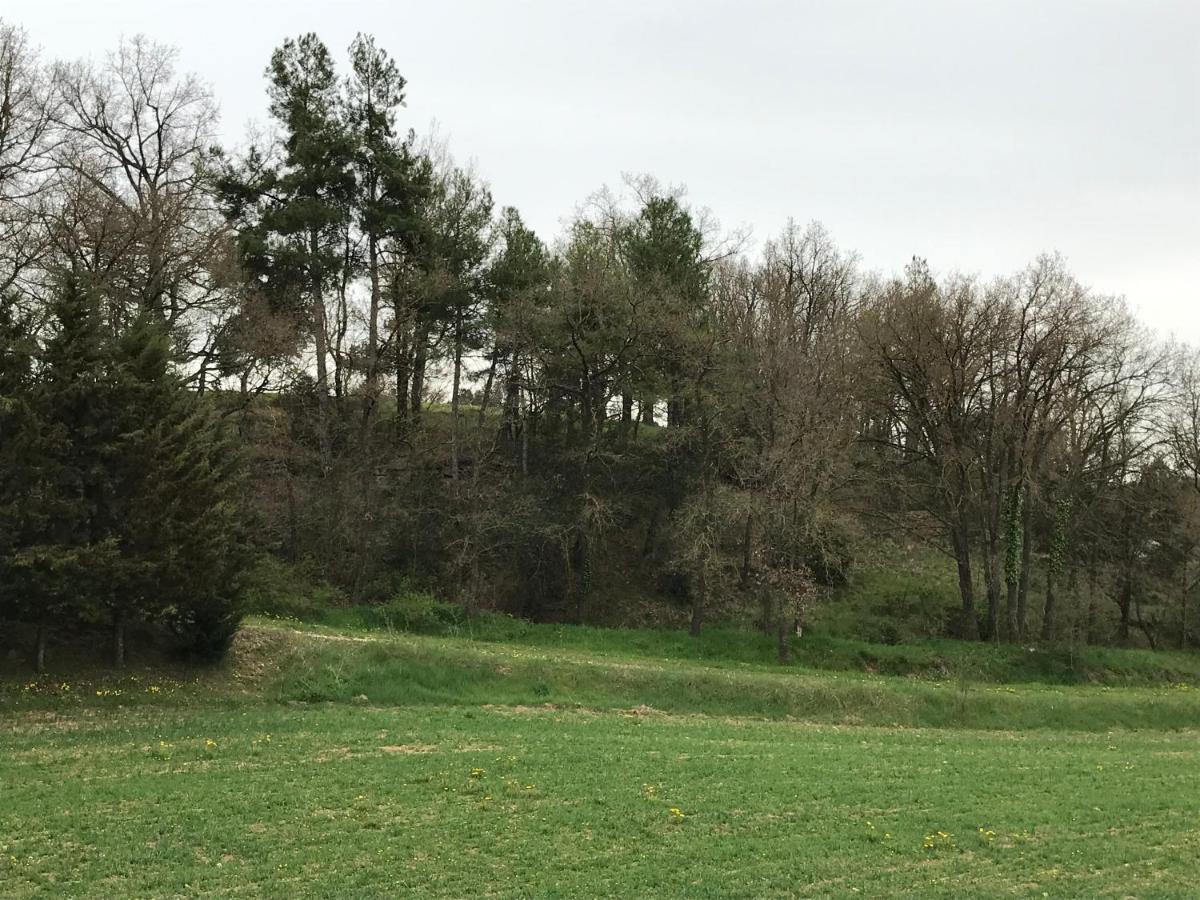 Allotjament Rural ソルソナ エクステリア 写真