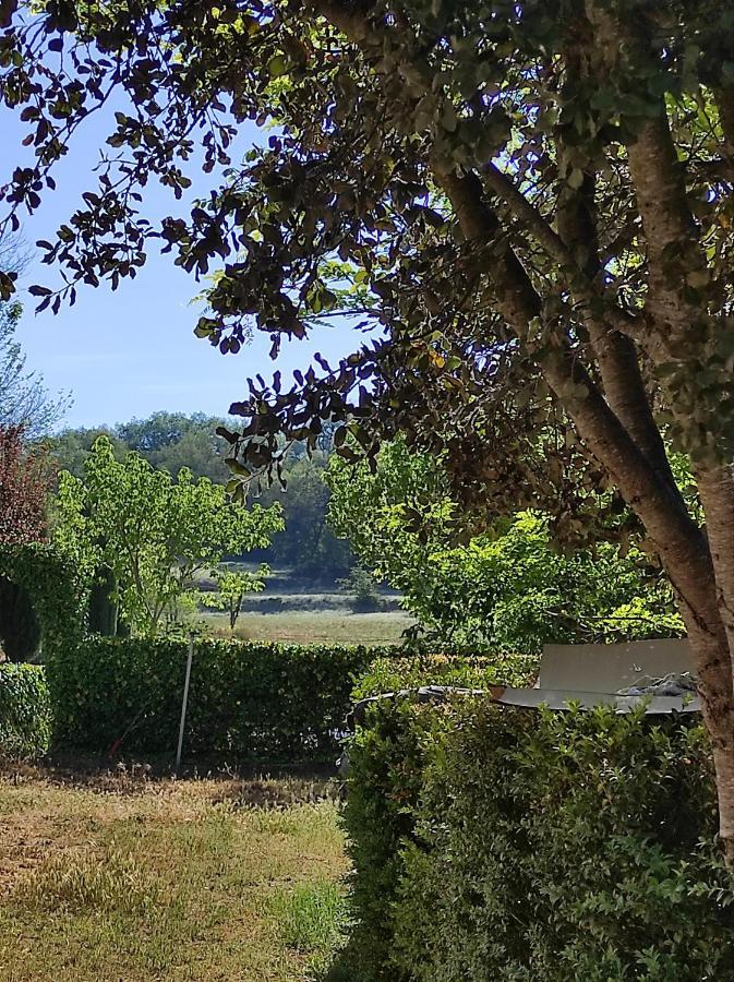 Allotjament Rural ソルソナ エクステリア 写真