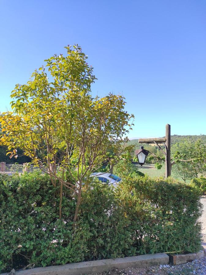 Allotjament Rural ソルソナ エクステリア 写真